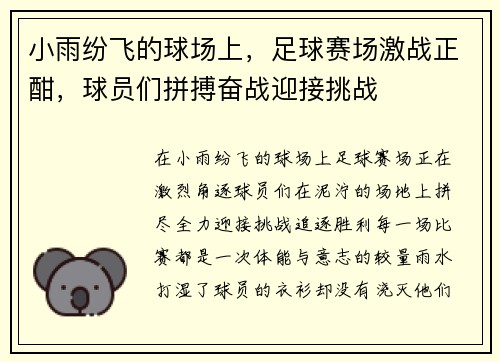小雨纷飞的球场上，足球赛场激战正酣，球员们拼搏奋战迎接挑战
