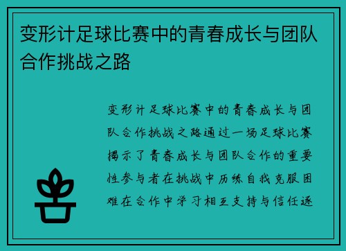 变形计足球比赛中的青春成长与团队合作挑战之路