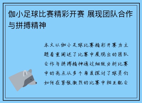 伽小足球比赛精彩开赛 展现团队合作与拼搏精神