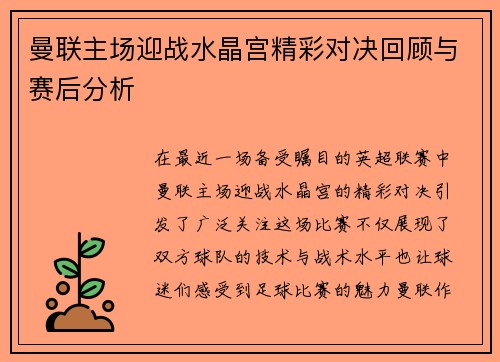 曼联主场迎战水晶宫精彩对决回顾与赛后分析