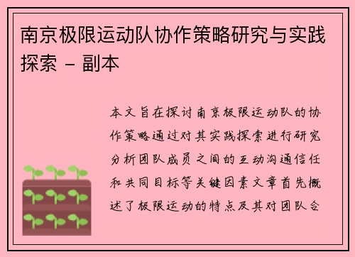 南京极限运动队协作策略研究与实践探索 - 副本